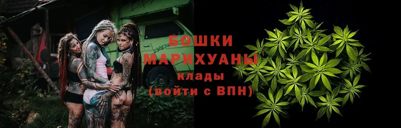 Каннабис White Widow  Шадринск 